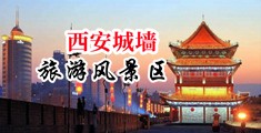 骚屄欠操视频在线播放中国陕西-西安城墙旅游风景区