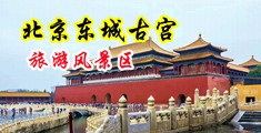 内射露逼视频中国北京-东城古宫旅游风景区